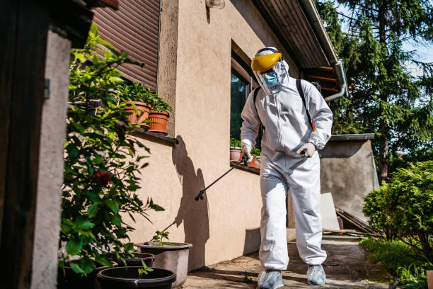 Best Bed Bug Extermination  in Zachary, LA
