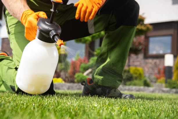 Professional Pest Control in Zachary, LA