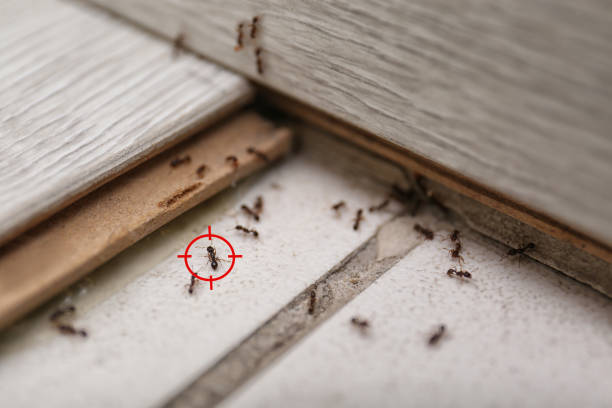 Pest Control for Restaurants in Zachary, LA