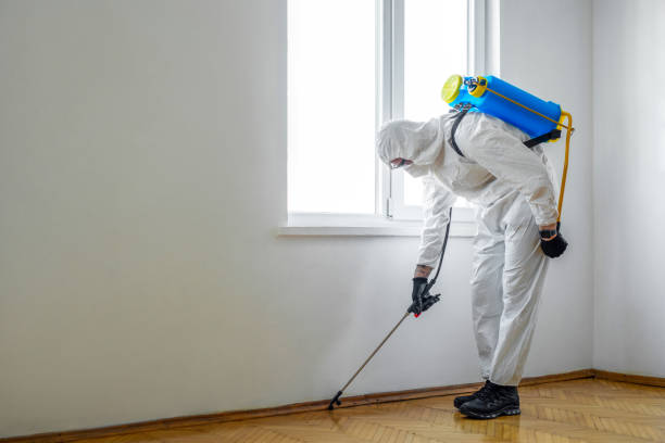 Best Emergency Pest Control  in Zachary, LA