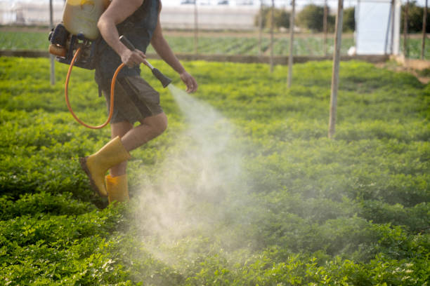 Best Affordable Pest Control Services  in Zachary, LA