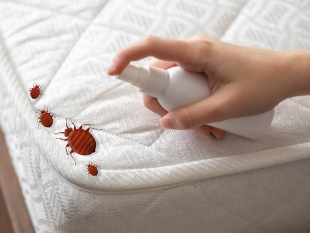 Best Pest Prevention Services  in Zachary, LA